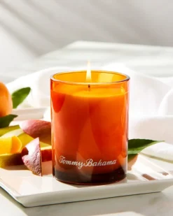 Tommy Bahama Candles & Diffusers<7.5-oz. Boxed Poured Candle