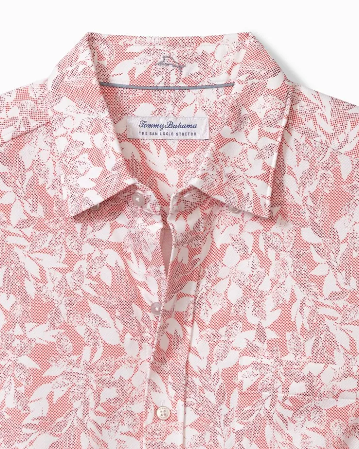 Tommy Bahama Shirts<San Lucio Casa Vines Stretch Knit Shirt